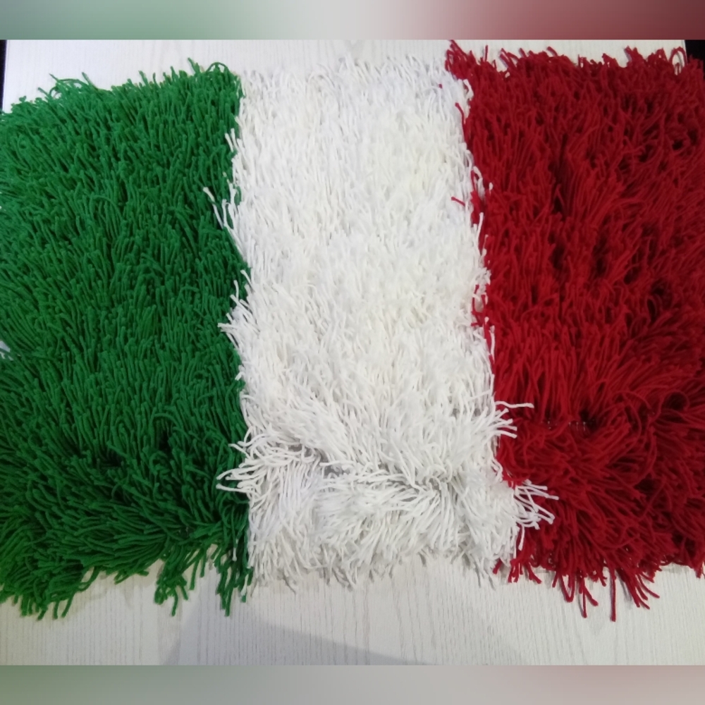 💚🤍❤Mexican Flag Inspired Shag Rug💚🤍❤